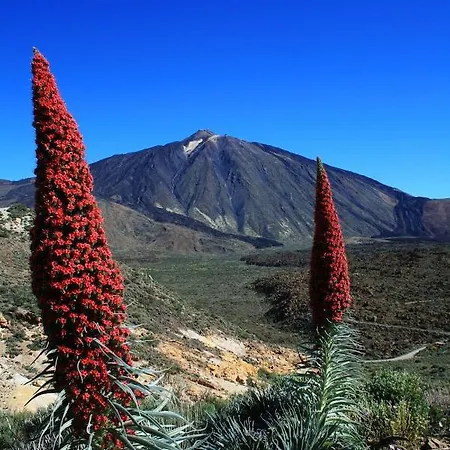 Casa Ivonne - Appartement San Isidro (Tenerife)